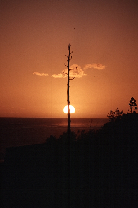08Abendsonne